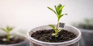 Unveil 8a21a6f614db065bb1ca2c21a5c803aede783f93e5277febbd47f37d9dbae4ca