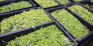 Unveil 8a21a6f614db065bb1ca2c21a5c803aede783f93e5277febbd47f37d9dbae4ca