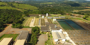 Unveil 8a21a6f614db065bb1ca2c21a5c803aede783f93e5277febbd47f37d9dbae4ca