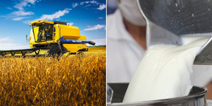 Unveil 8a21a6f614db065bb1ca2c21a5c803aede783f93e5277febbd47f37d9dbae4ca