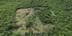 Unveil 8a21a6f614db065bb1ca2c21a5c803aede783f93e5277febbd47f37d9dbae4ca