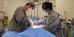 Unveil 8a21a6f614db065bb1ca2c21a5c803aede783f93e5277febbd47f37d9dbae4ca