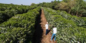 Unveil 8a21a6f614db065bb1ca2c21a5c803aede783f93e5277febbd47f37d9dbae4ca