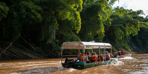 Unveil 8a21a6f614db065bb1ca2c21a5c803aede783f93e5277febbd47f37d9dbae4ca